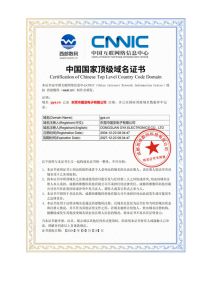 GYA 国亚域名商标证书